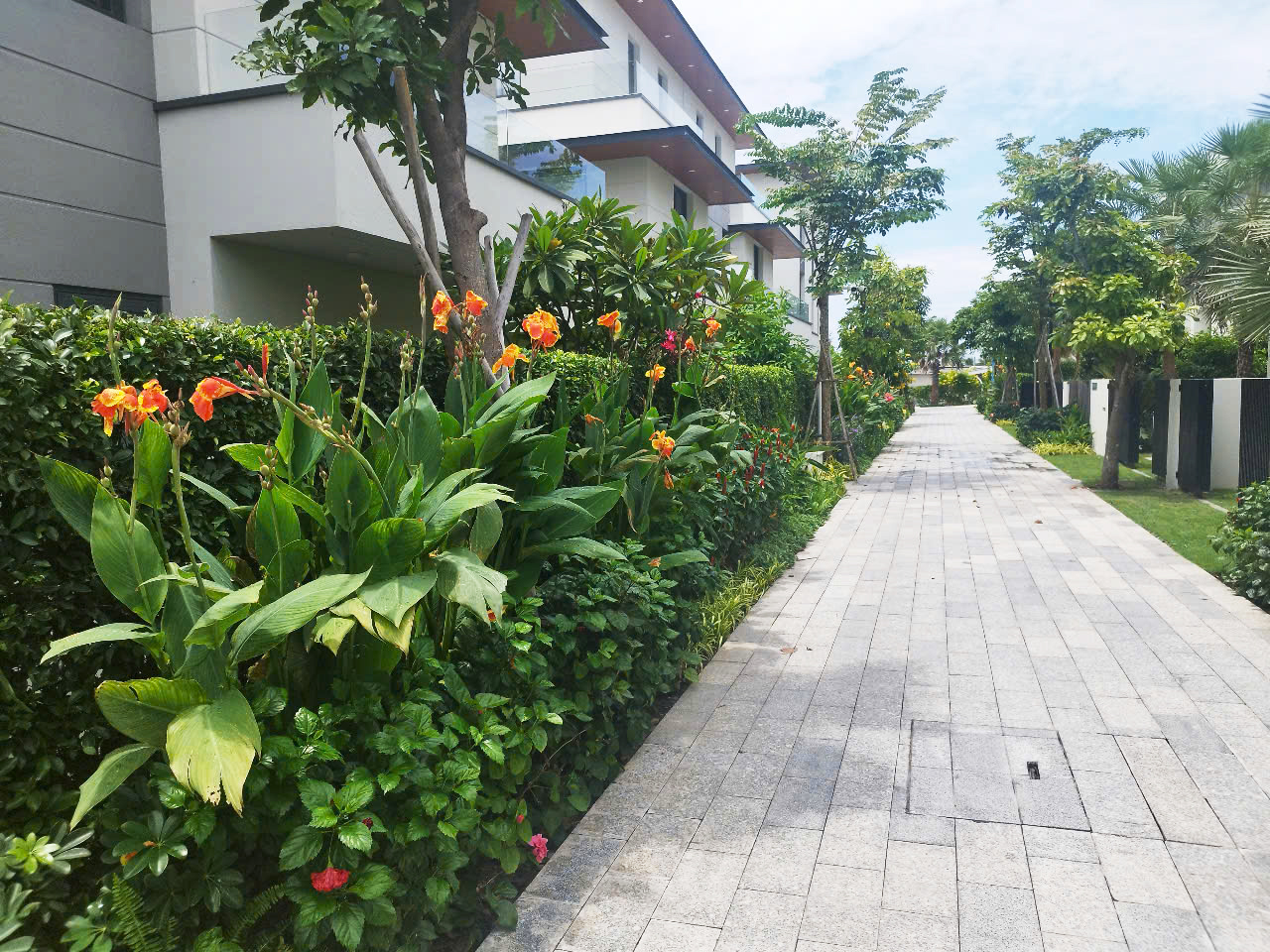 Costamigo: hành trình "hồi sinh" những giá trị dở dang 12 Costamigo LSS 15